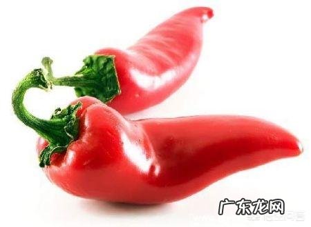 中国人是从什么时候开始吃辣椒的呢?