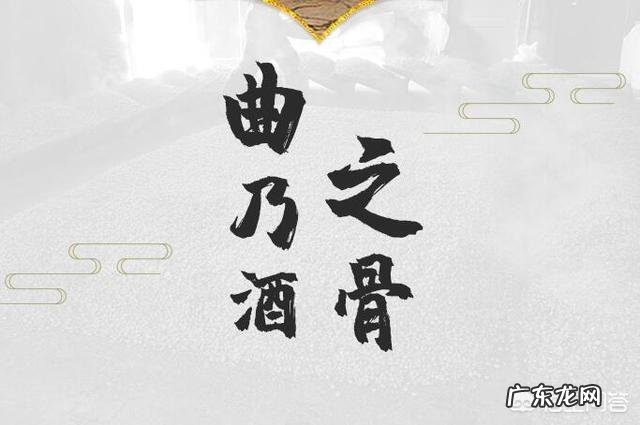 酿酒用什么酒曲最好?