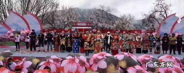 三月十四是什么节