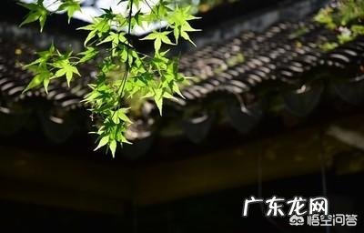 农村自建房,房檐下弄个天沟有组织排水实用么?你怎么看?