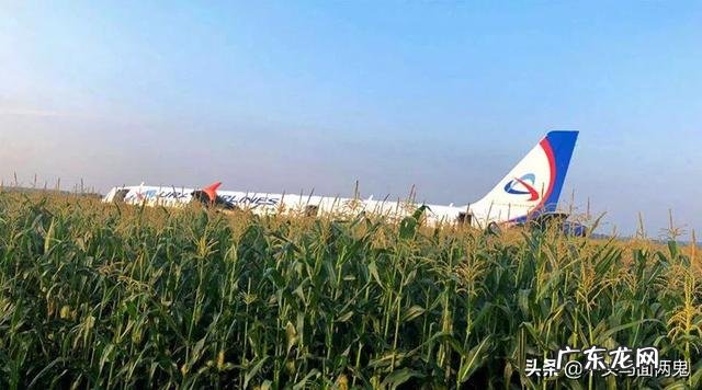 俄罗斯一架飞机遭飞鸟撞击迫降，电视字幕反复打出是硬着落，请问迫降和硬着落是一回事吗？