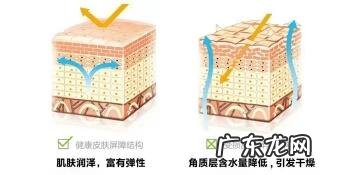 肌肤缺水的几点,你中招了吗