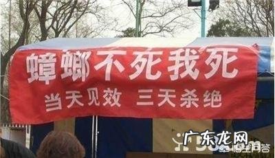 如何永久性去除蟑螂？