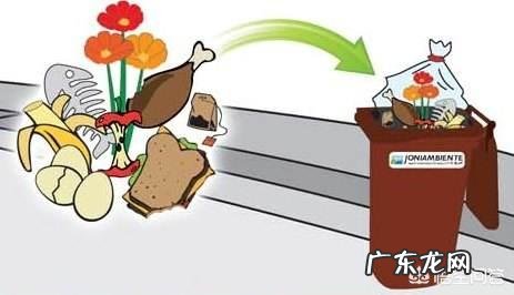 如何永久性去除蟑螂?