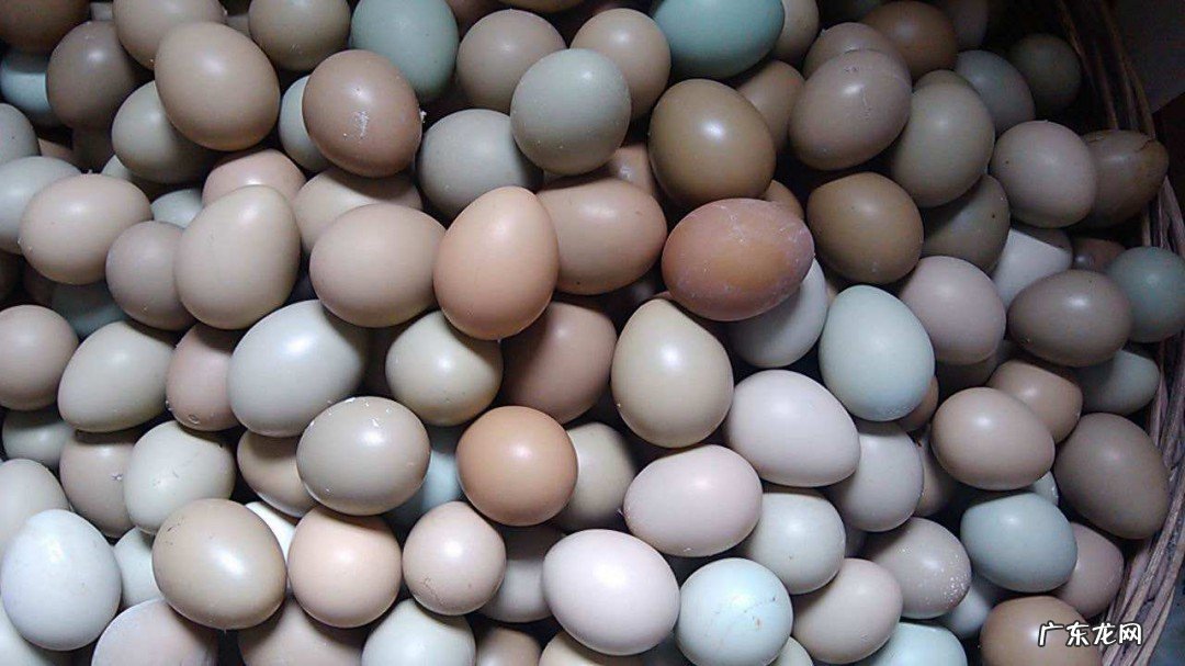 鸡蛋保存最长时间