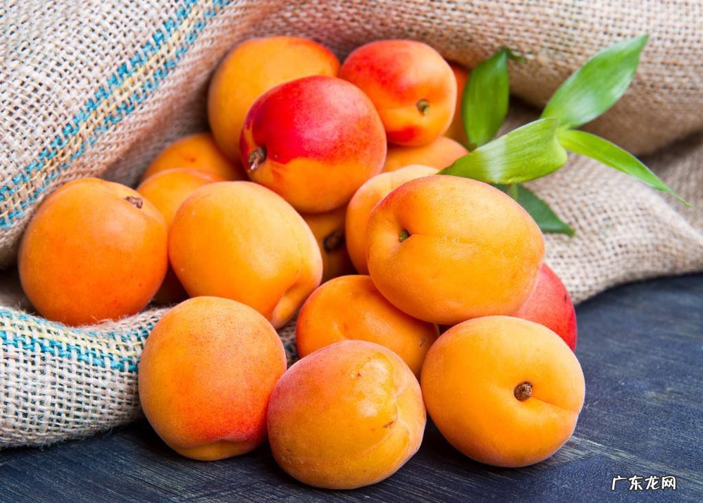 新鲜红杏怎么保存