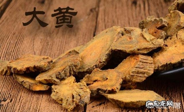 农村人种植中药材成本较高，高投入能换来高效益吗？