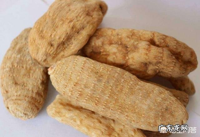 农村人种植中药材成本较高，高投入能换来高效益吗？