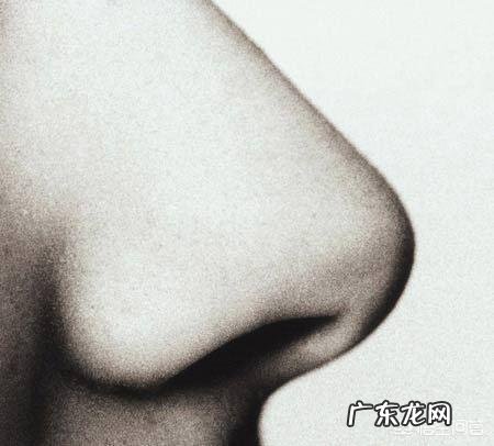 假体隆鼻是什么原理,对鼻子有伤害吗?