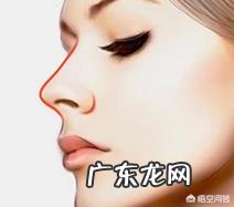 假体隆鼻是什么原理,对鼻子有伤害吗?