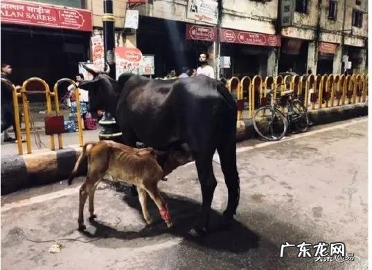 现在中国人在印度安全吗?需要回国吗?