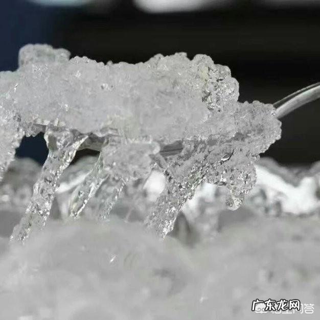 有谁知道雪燕是什么的吗？