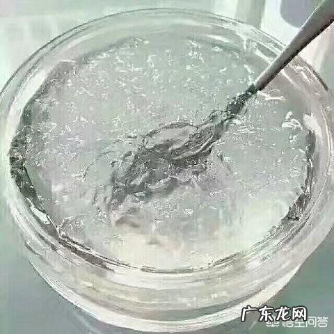 有谁知道雪燕是什么的吗?