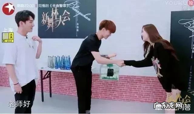 现在国内有哪些好看的综艺节目?