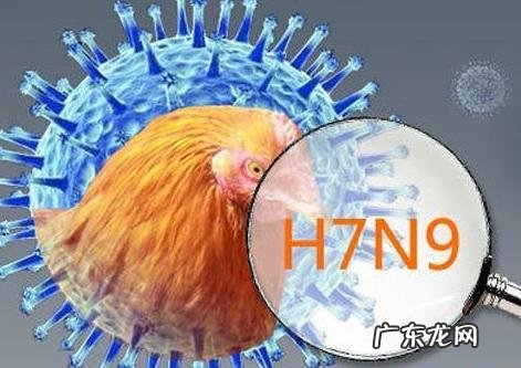 北京报告今年第二例输入性H7N9病例,怎么判断自己有没有得流感?