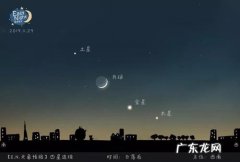 什么叫四星连珠