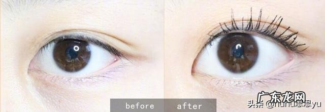 拒绝盲买，睫毛膏买哪个牌子好？