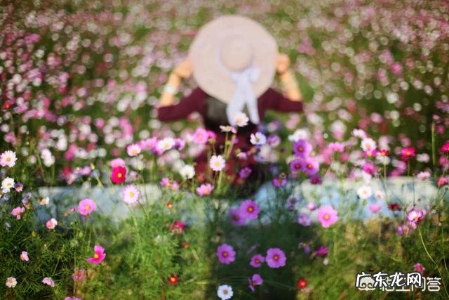 相机拍人像,怎样摆姿势最漂亮?