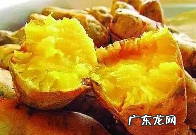 为什么红薯叫番薯?