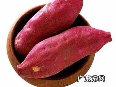 为什么红薯叫番薯?