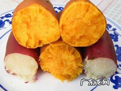 为什么红薯叫番薯?