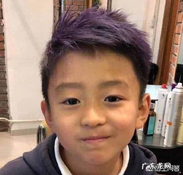 有支持张柏芝的人吗?