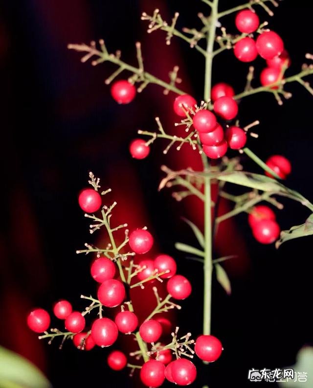 你们的焦虑症是怎么康复的?