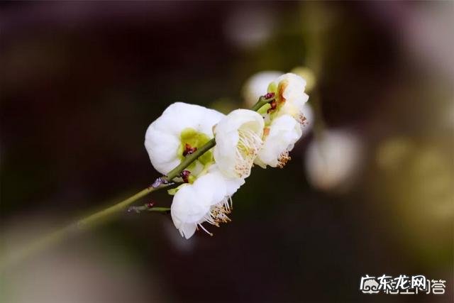 你们的焦虑症是怎么康复的?