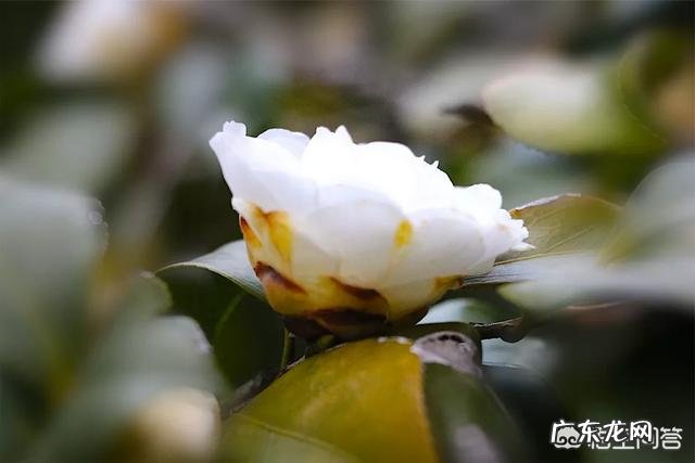 你们的焦虑症是怎么康复的?