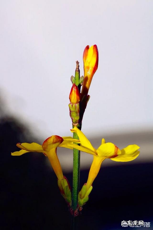 你们的焦虑症是怎么康复的?