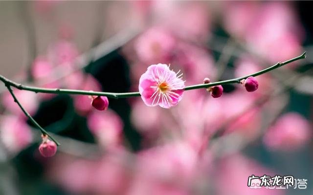 你们的焦虑症是怎么康复的?