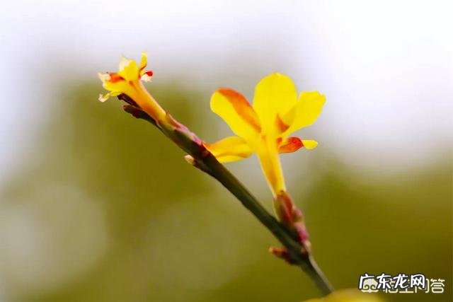 你们的焦虑症是怎么康复的?