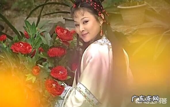 《康熙王朝》中，索额图收养朱三太子的女儿红玉，到底有何意图？对此你有何看法？