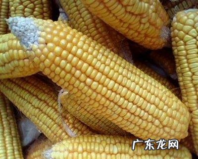 为什么大家都把韩国人叫棒子?