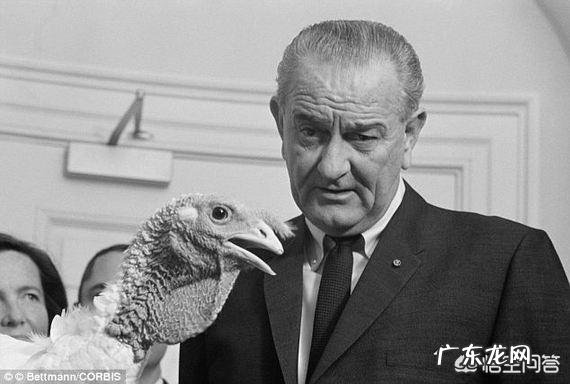 美国在什么情况下可以废除总统?