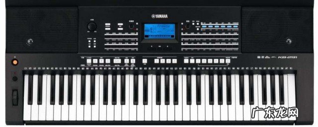 如何快速学会弹电子琴