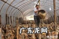 想在农村养鸭子,没有池塘可以吗?