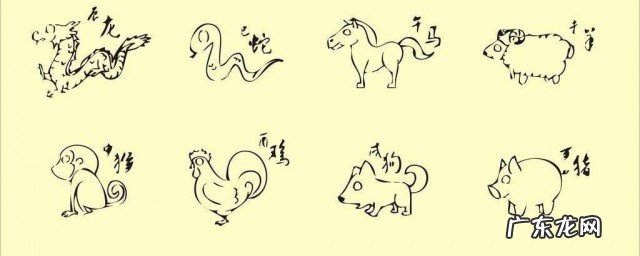 十二生肖是按阴历还是按阳历算?