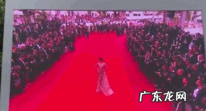 网红戛纳红毯遭驱赶?真实身份曝光遭网友痛批,你怎么看?