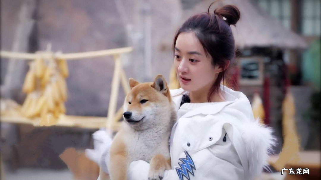 向往的生活赵丽颖是哪一期