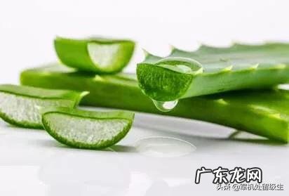 芦荟护肤有什么功效？