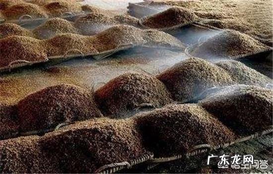 农村自制的甜酒特别好吃，请问酒曲是怎么制作的？