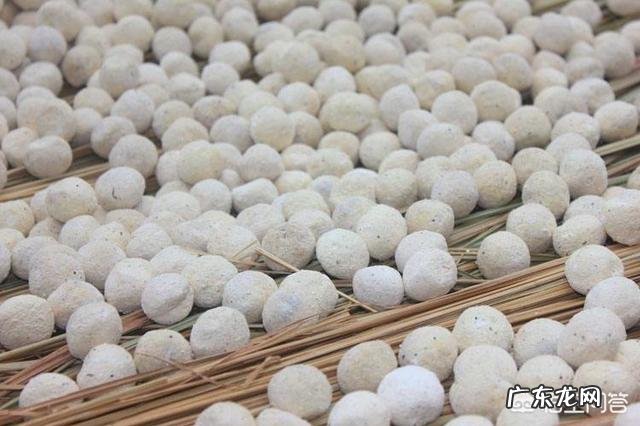 农村自制的甜酒特别好吃，请问酒曲是怎么制作的？