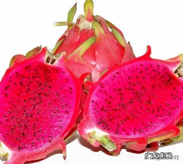 火龙果种植火龙果一年四季都可以种,怎样培养果实的品质更好呢？