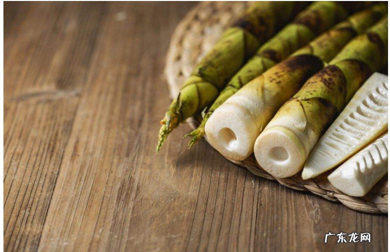 笋怎么保存长久
