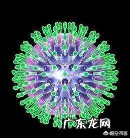 哪款奶粉比较好?