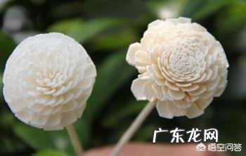 昔日清朝皇后佩戴的通草花，全国仅剩两八旬老翁会做，会失传吗？