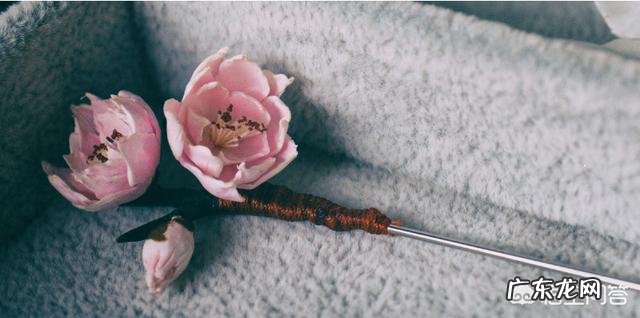 昔日清朝皇后佩戴的通草花，全国仅剩两八旬老翁会做，会失传吗？