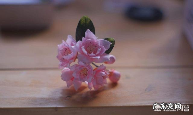 昔日清朝皇后佩戴的通草花，全国仅剩两八旬老翁会做，会失传吗？