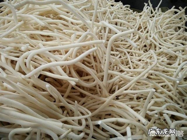 昔日清朝皇后佩戴的通草花，全国仅剩两八旬老翁会做，会失传吗？